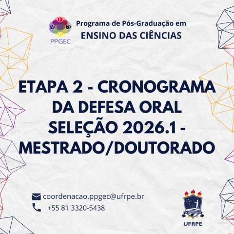 etapa 2 - cronograma